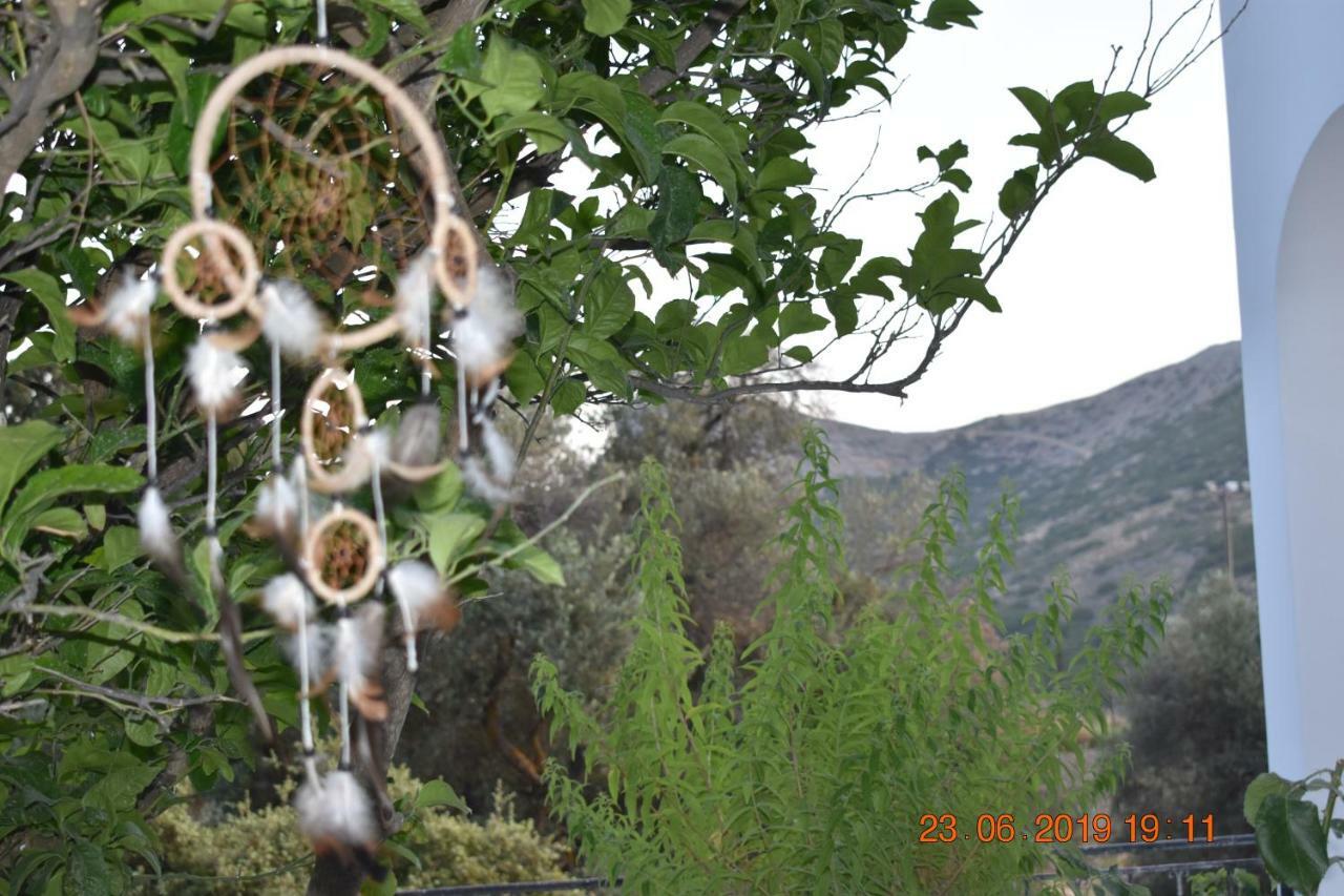 Dreamcatcher Of Zeus Filotion Luaran gambar